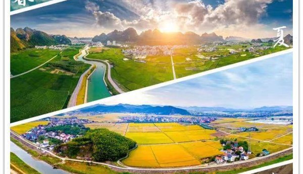 高举绿色发展旗帜，棕榈股份稳定有序跨过高质量发展元年